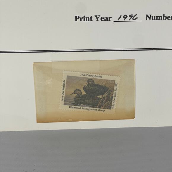 Pennsylvania Waterfowl Management Stamp Print Black Ducks 1996 #2235 - Picture 3 of 4